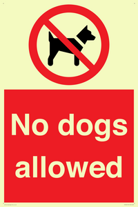 No dogs allowed